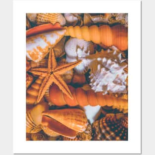 Seashell Sand Beach Summer Travel Sea Vacation Posters and Art